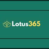 How to Keep Your Lotus365 Account Secure