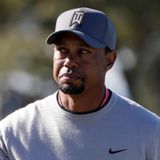 #101 Tiger Woods, The Income Tax Cancer & A Rogue Agency