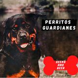 # Geeks and Beer -Perritos Guardianes