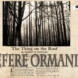 Villefère Ormanında - Robert E. Howard - Sesli Hikaye - Radyo Tiyatrosu - KORKU -