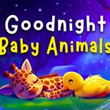 Goodnight Baby Leopard   Perfect Toddler Bedtime Stories  with Relaxing Baby Sleep Music