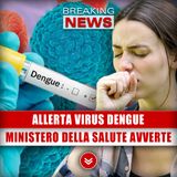 Allerta Virus Dengue: Il Ministero Della Salute Ci Avverte!