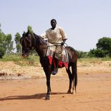 Le cheval, entre tradition et prestige dans la société zarma ( Magazine)