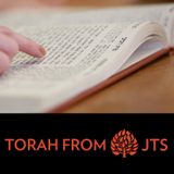 Upgrading the Torah--And the World: Mattot-Masei 5783