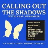 Strategic, Not Submissive: Staying Calm in Family Court
