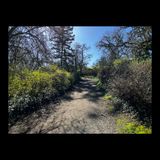 Top Loop Romp