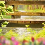 A Caregiving Comfort: Sneak