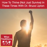 293: How To Thrive (Not Just Survive) In These Times