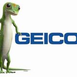 Comercial Radial Gecko