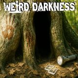 DUTCHMAN’S HOLLOW: Something Has Been Hunting in These Woods Since 1656