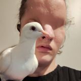 Brianna - Birds of a Feather