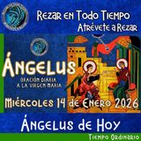 Oración del Angelus de hoy Miércoles 14 de Enero 2026. 🌹Oracion diaria a la Virgen María 🙏