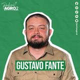 A importância da mandioca na produção agrícola brasileira #454