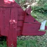 Il Cinghiale