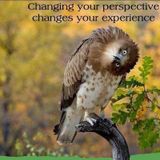Changing Your Perspective