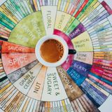 #Ravenna Meglio il dolce o il salato? 