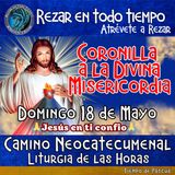 CORONILLA A LA DIVINA MISERICORDIA DE HOY DOMINGO 18 DE MAYO 2025. 🙏 REZAR EN TODO TIEMPO.           
