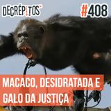 Decrépitos 408 - VACILO NEWS: Macaco Português, Levemente Desidratada e Galo da Justiça