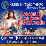 CORONILLA A LA DIVINA MISERICORDIA DE HOY  LUNES 12 DE MAYO 2025. 🙏 REZAR EN TODO TIEMPO.         