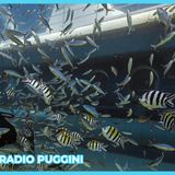 Naufragio Sottomarino nel Mar Rosso 27.03.2025 Radio Puggini