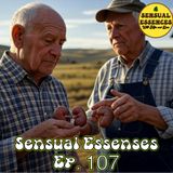 Sensual Essences 107