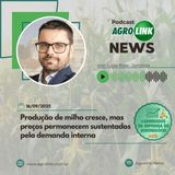 Pecuária impulsiona PIB de Santa Catarina com alta em frango e suíno