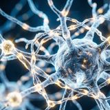 Processi Mentali e Schizofrenia: Memoria, Attenzione e Funzioni Esecutive