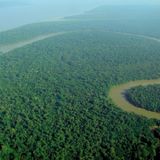 In Amazzonia le malattie seguono la trasformazione della foresta