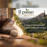 Puntata 6 – Cosa ci insegnano i gatti sulla presenza