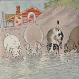 De Honden en de Huiden | Aesopus Fabels