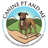 Canine PT and Me - CCL Tear in Dogs
