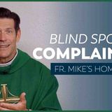 _Blind Spots_ Complaint_ _ 26th Sunday in Ordinary Time (Fr. Mike_s Homily) _sundayhomily