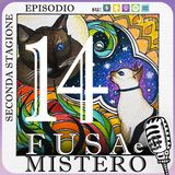 Fusa e Mistero #14 - Gli stadi evolutivi: dalla Luce alla Vita