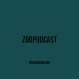 Buckingam Zoo - Ep 2 Rock