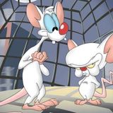 TV Party Tonight:  Pinky And the Brain Volume 1