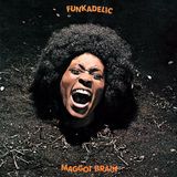 I vinili di un Gonzo: Maggot Brain dei Funkadelic, terapia musicale in salsa funk psichedelico