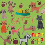 Puntata 187 - Gatti 🐈