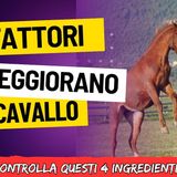# 159 - I 4 fattori che peggiorano un cavallo