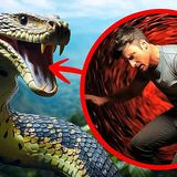 E se uma anaconda gigante te engolisse inteirinho