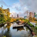Da Parigi a New York la grande corsa delle foreste urbane