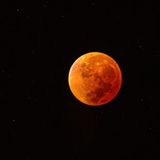 Episode 290 - Red moon connection to Jesus Coming