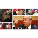 Donald Focus On Self at RNC Speech | Followers Pay To Bandage Their Ears At Convention 🙄
