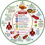 EP-260 | Trans Fat: The Silent Disease Maker | ট্রান্স ফ্যাট: নীরব রোগ তৈরির কারখানা | wellness Podcast