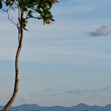 DESCENT INTO MADNESS (Bushwhacking Through The Rainforest) BM8