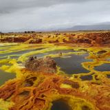 Cosmic Queries – Alien Worlds and Extremophiles with Kennda Lynch