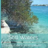 Still Waters: Chapter Three--Niagara Falls