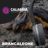 Brancaleone, sulle orme delle tartarughe