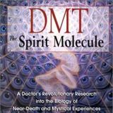 Dr. Rick Strassman on DMT: The Spirit Molecule - July 4, 2015