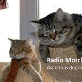 Radio Morris La deprimida