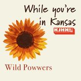 While you're in Kansas: Wild Powwers